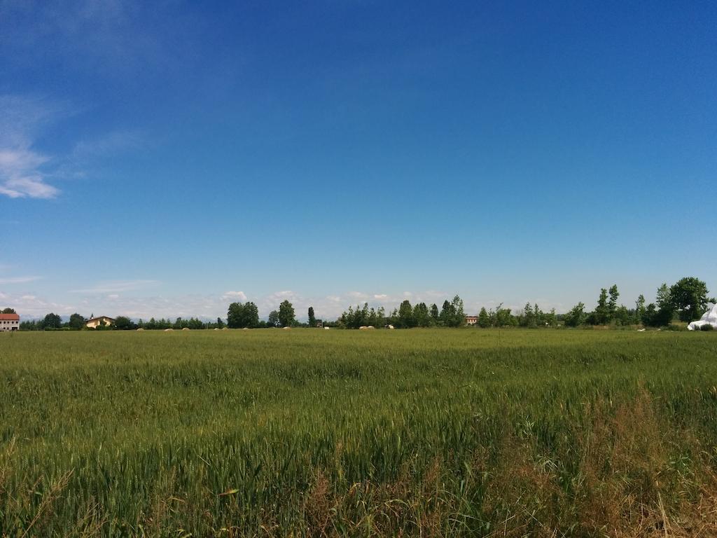Agriturismo La Chioccia 캄파냐 루피아 외부 사진